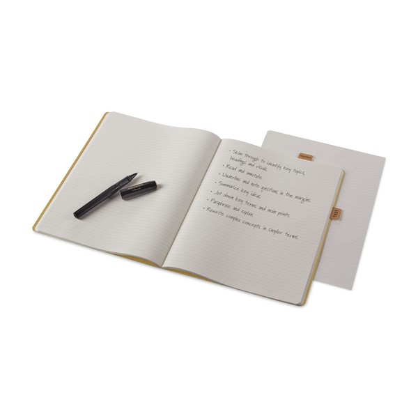 Moleskine® Ruled XX-Large Journal – Publix Company Store by